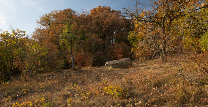 Pertuis-du-Sault en automne