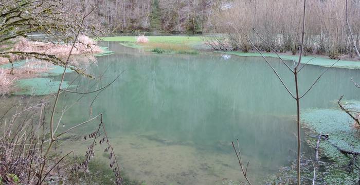 Biaufond La Ronde