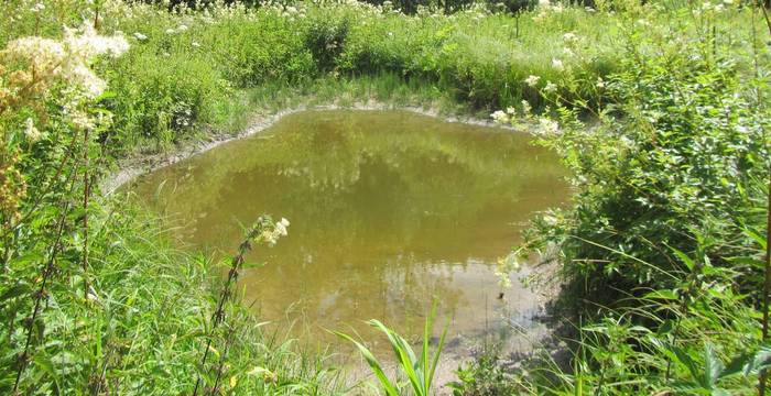 Etangs aux Goudebas