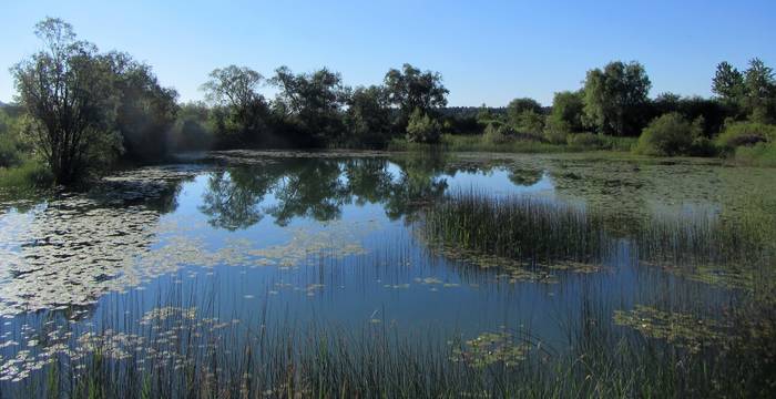 Etangs de Pôlière