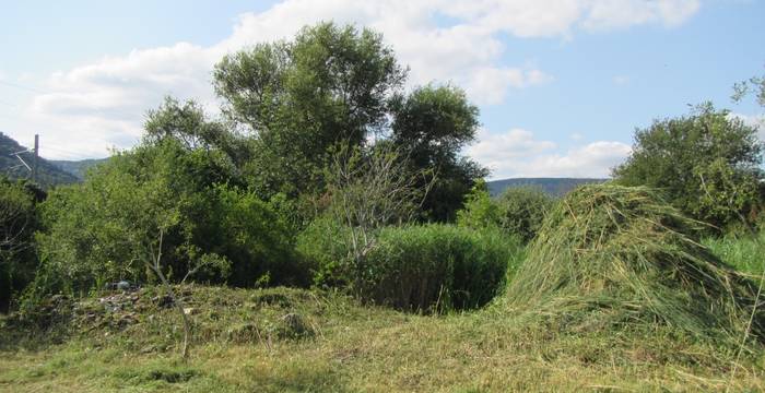 Les Sagnes de Boudry