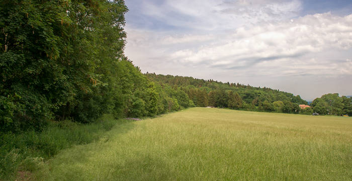 Lisière ©Nicolas Roeschli