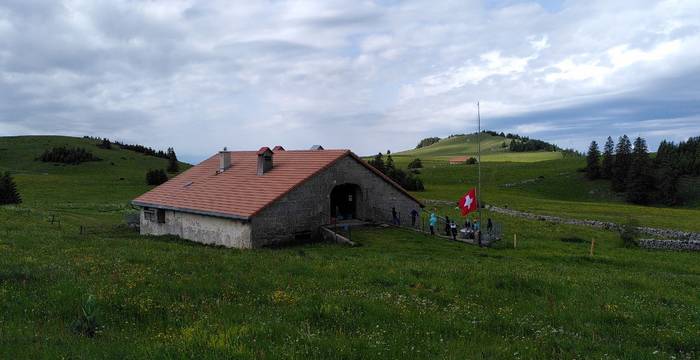 JNNE_WE_Entomo_Mont_Racine