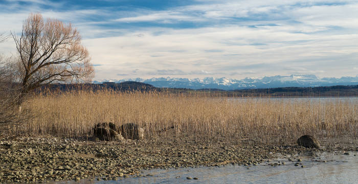 Paysage