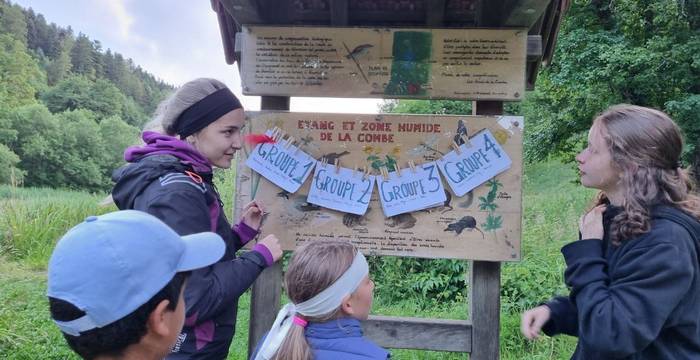Nos camp de l'été 2023
