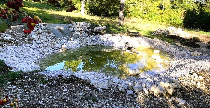 Etang