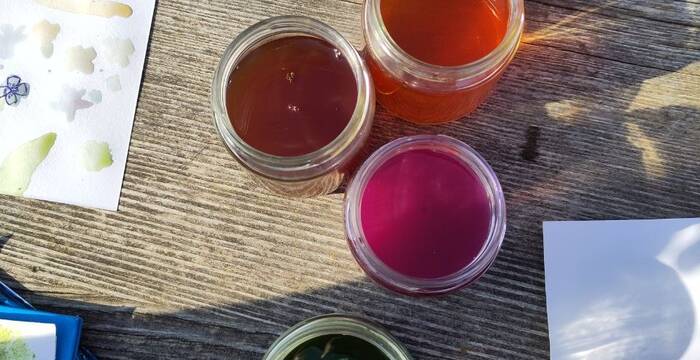 Les secrets des plantes 21 mars 2026