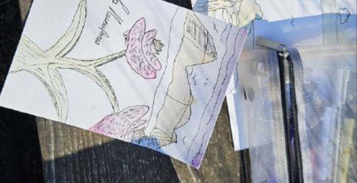 Les secrets des plantes 21 mars 2026