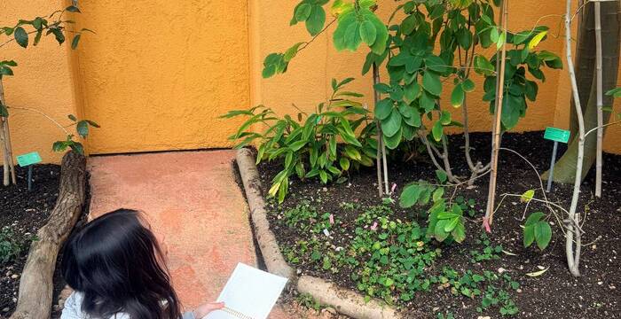 Les secrets des plantes 21 mars 2026