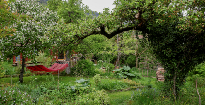 Jardin naturel