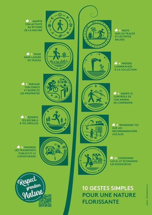 Respect grandeur nature - 10 gestes simples