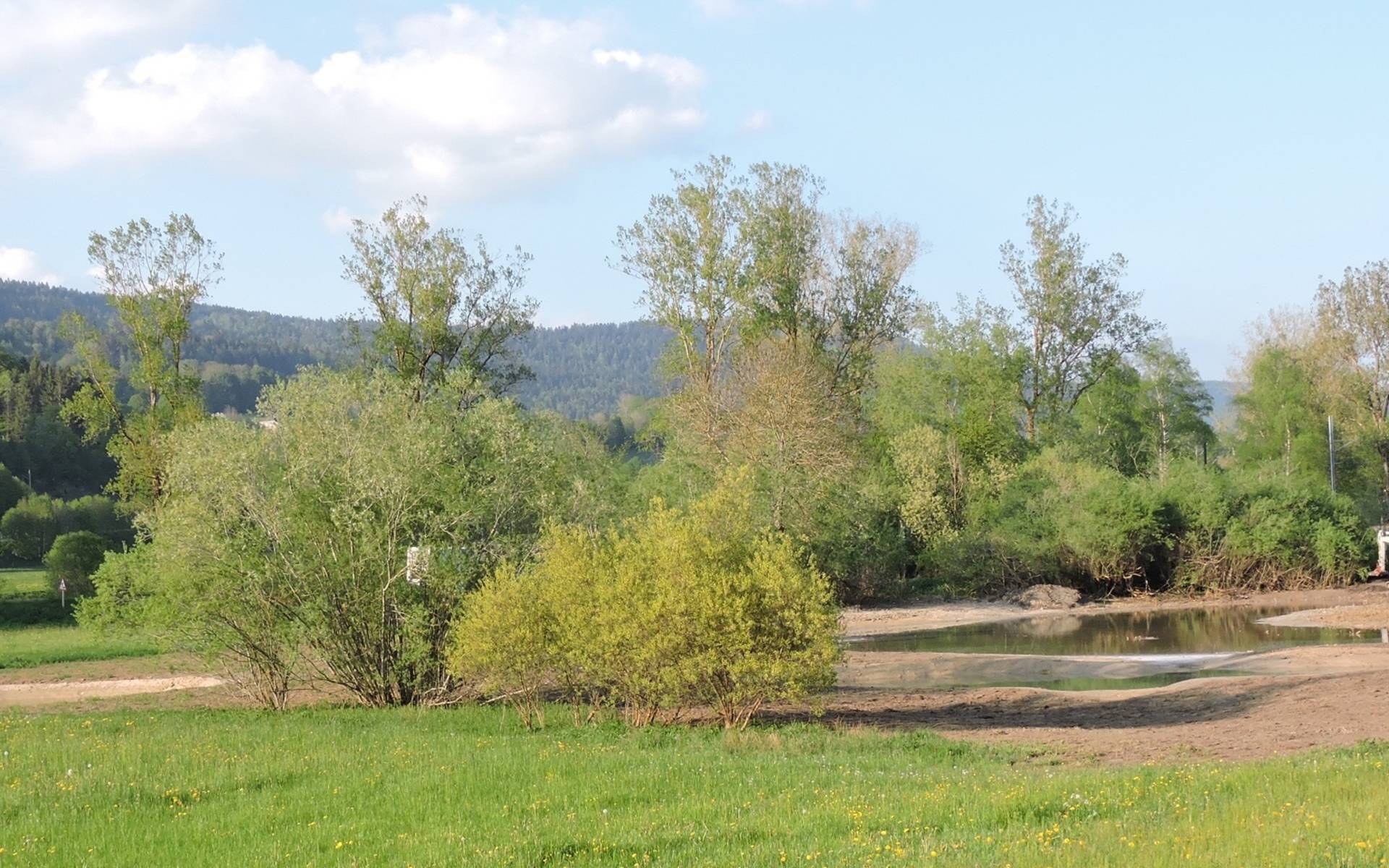 Site de l'aménagement de l'étang