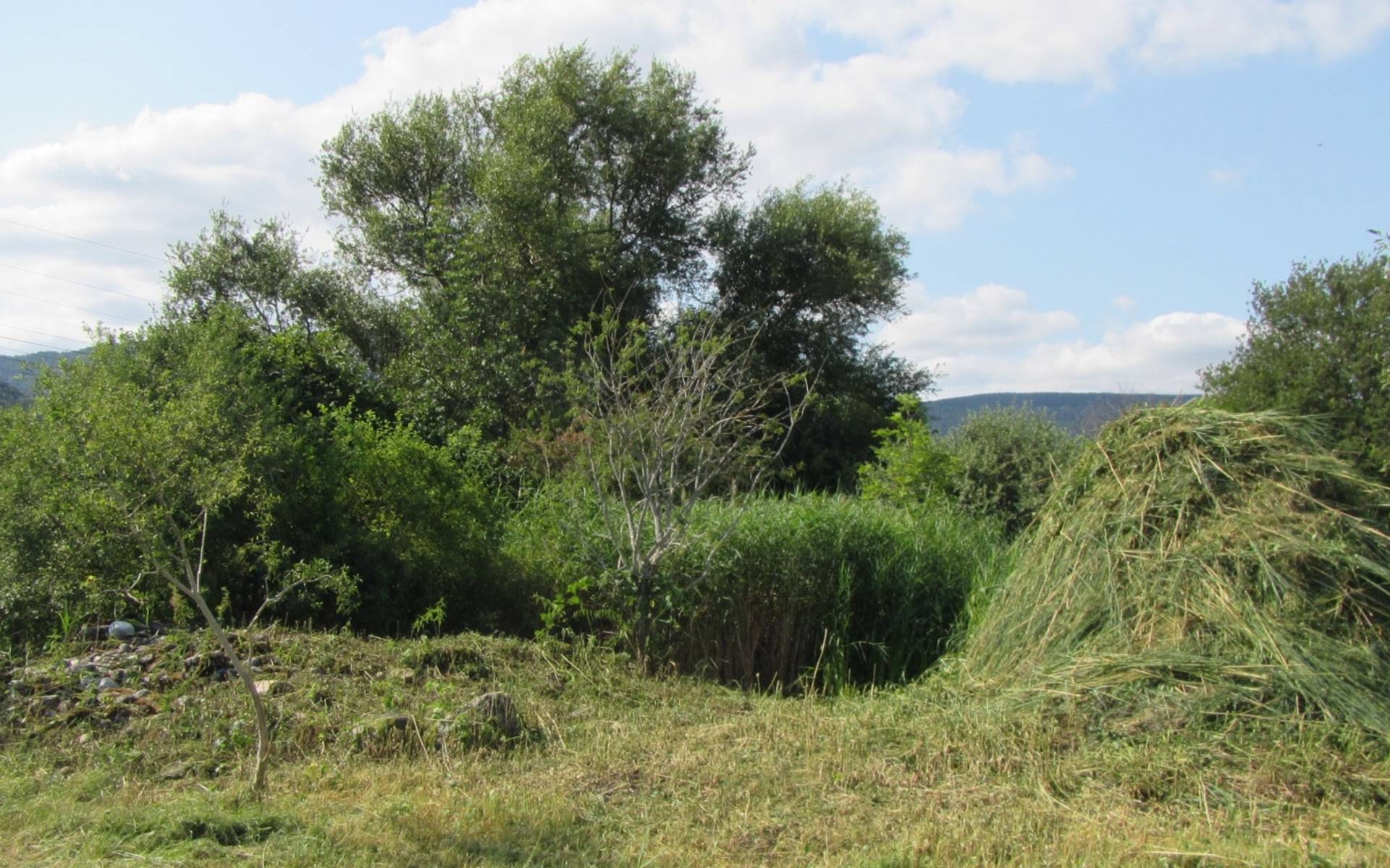 Les Sagnes de Boudry