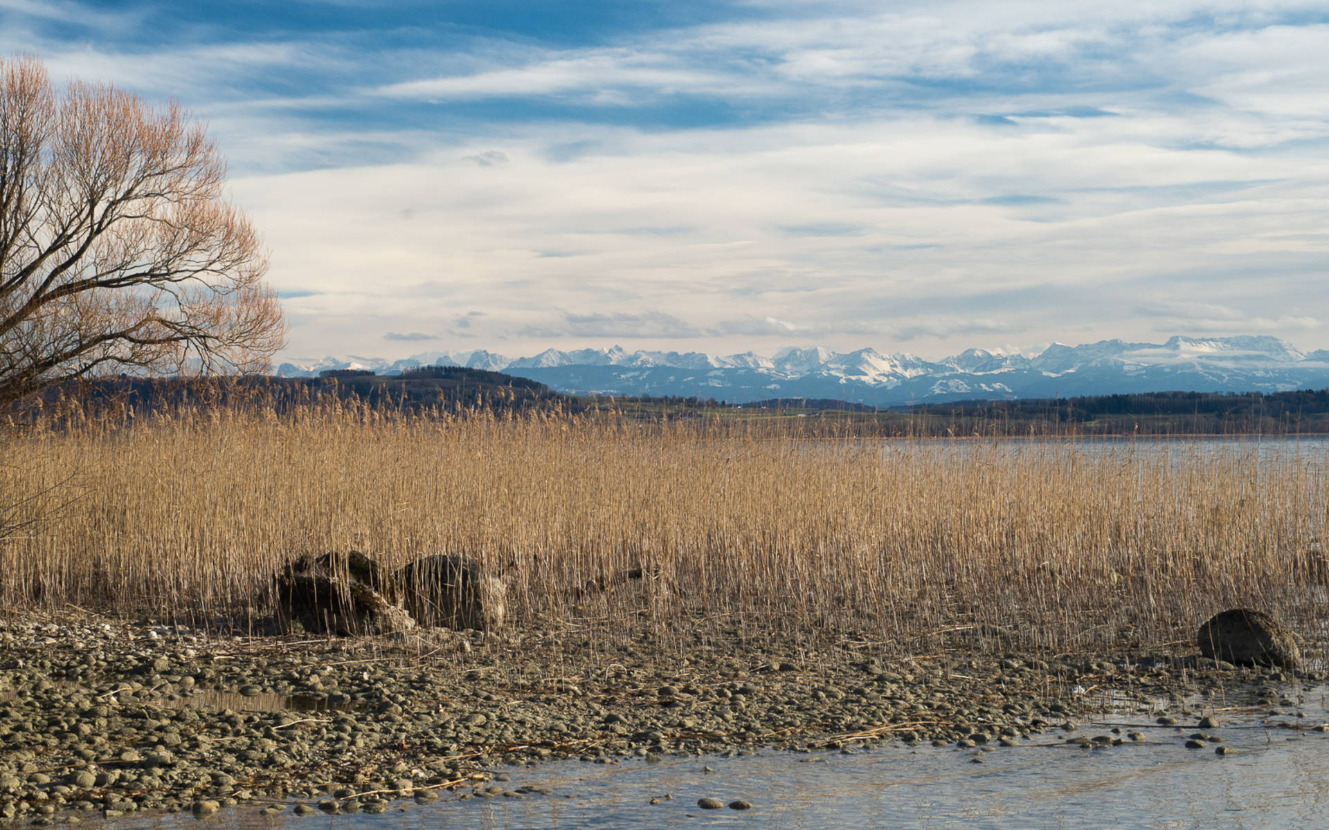 Paysage