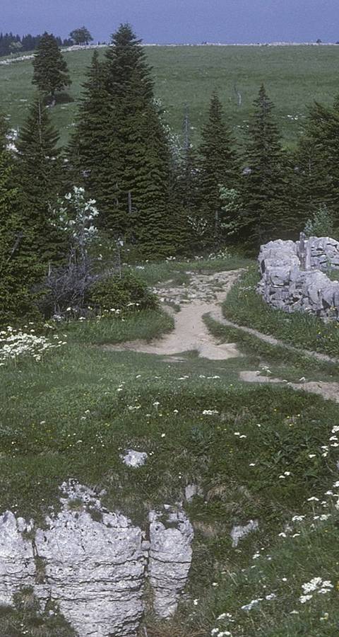 Erosion au Creux-du-Van