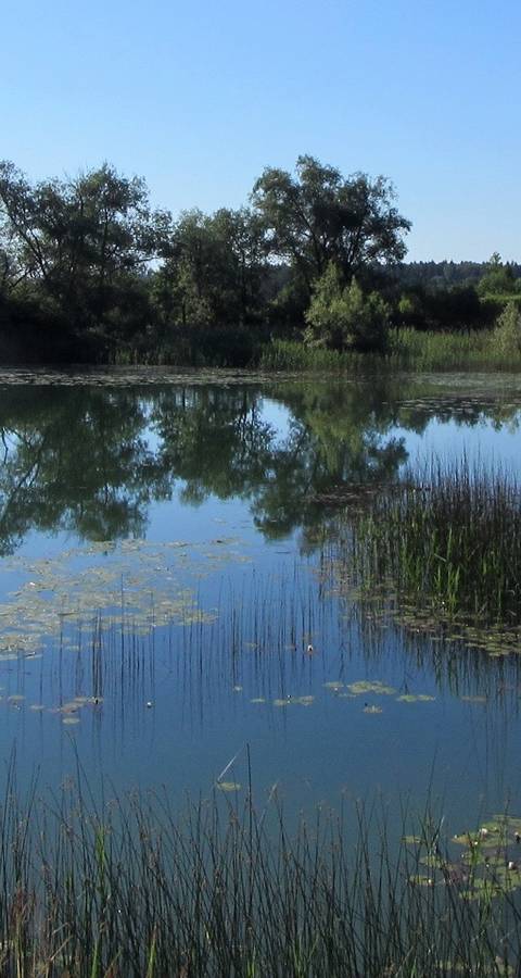Etangs de Pôlière