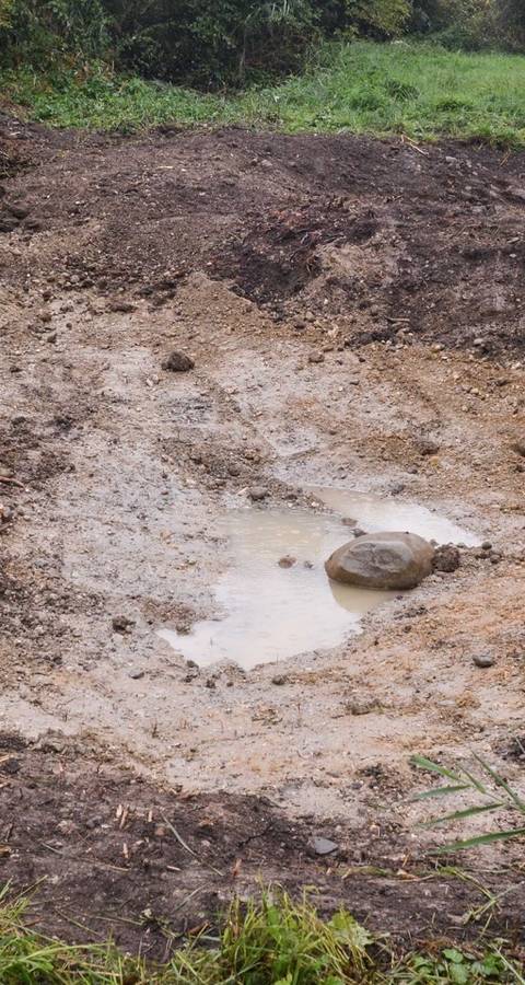 Travaux Sagnes de Boudry