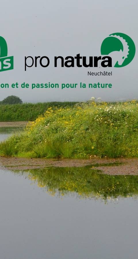 Brot Plamboz 60 ans