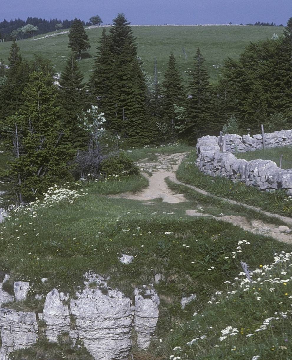 Erosion au Creux-du-Van