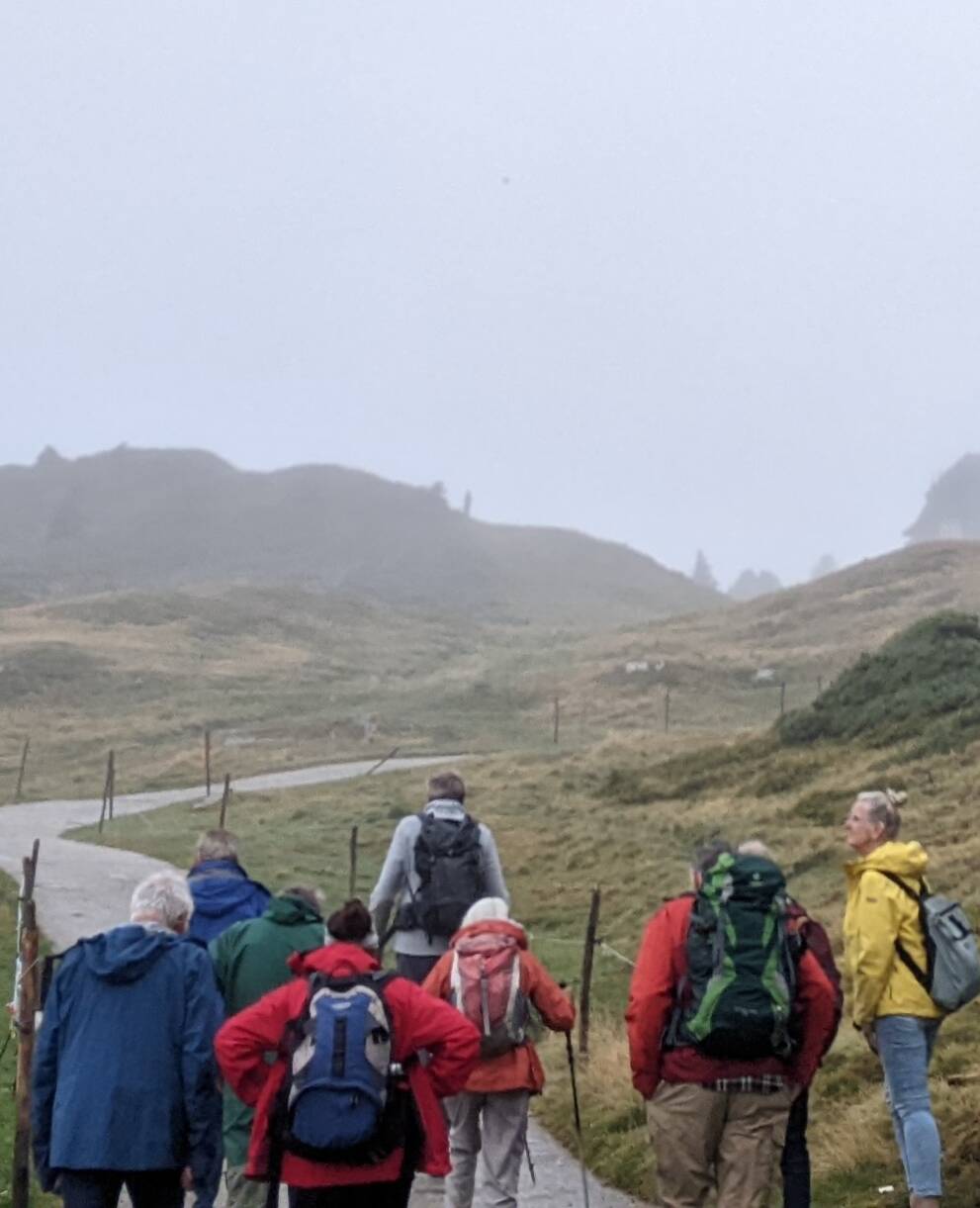 Promenade en montagne