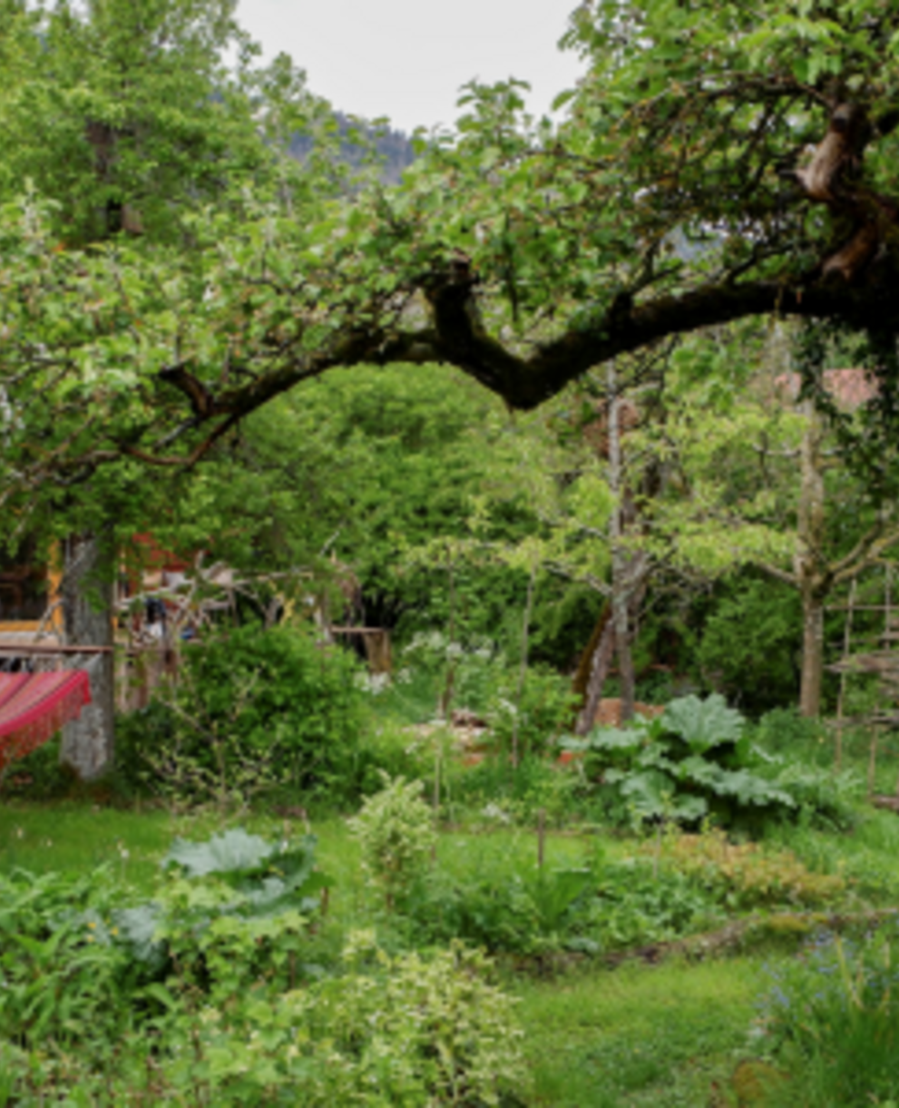 Jardin naturel
