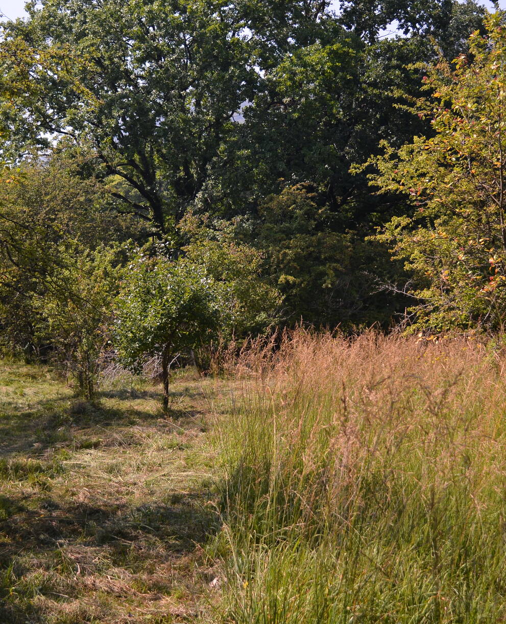Marnières d'Hauterive