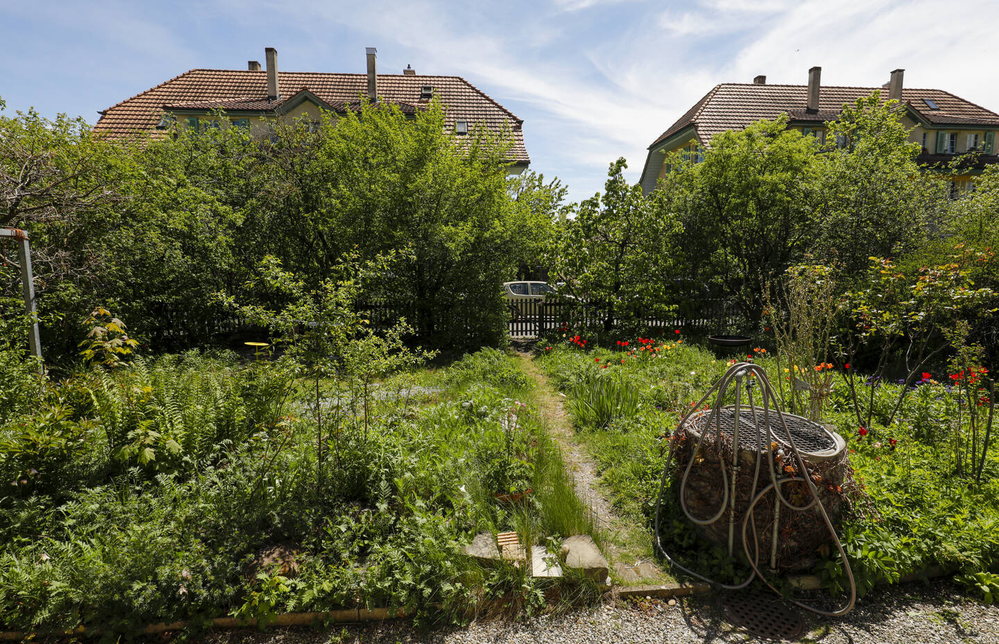 Jardin naturel
