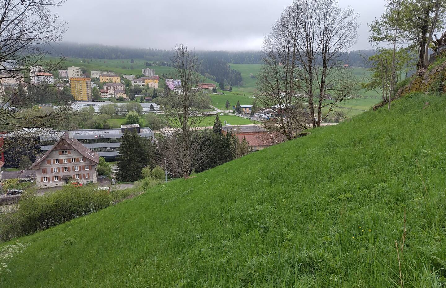 Printemps 2025, avant pâture